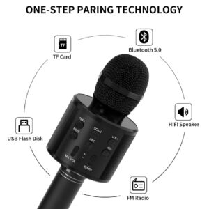 alt=Wireless Bluetooth Karaoke Microphone